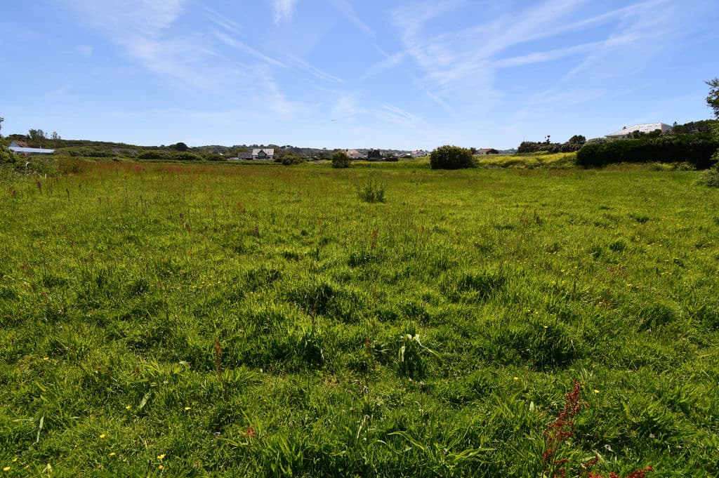 2x Agricultural Field, Route Des Adams, St Peter