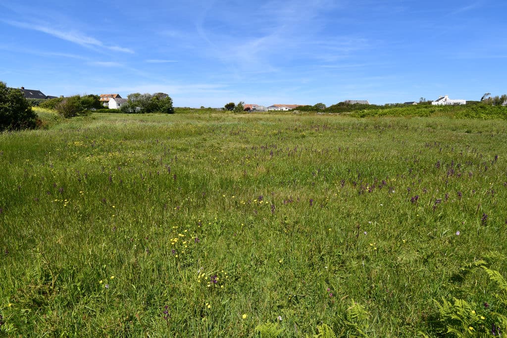 2x Agricultural Field, Route Des Adams, St Peter