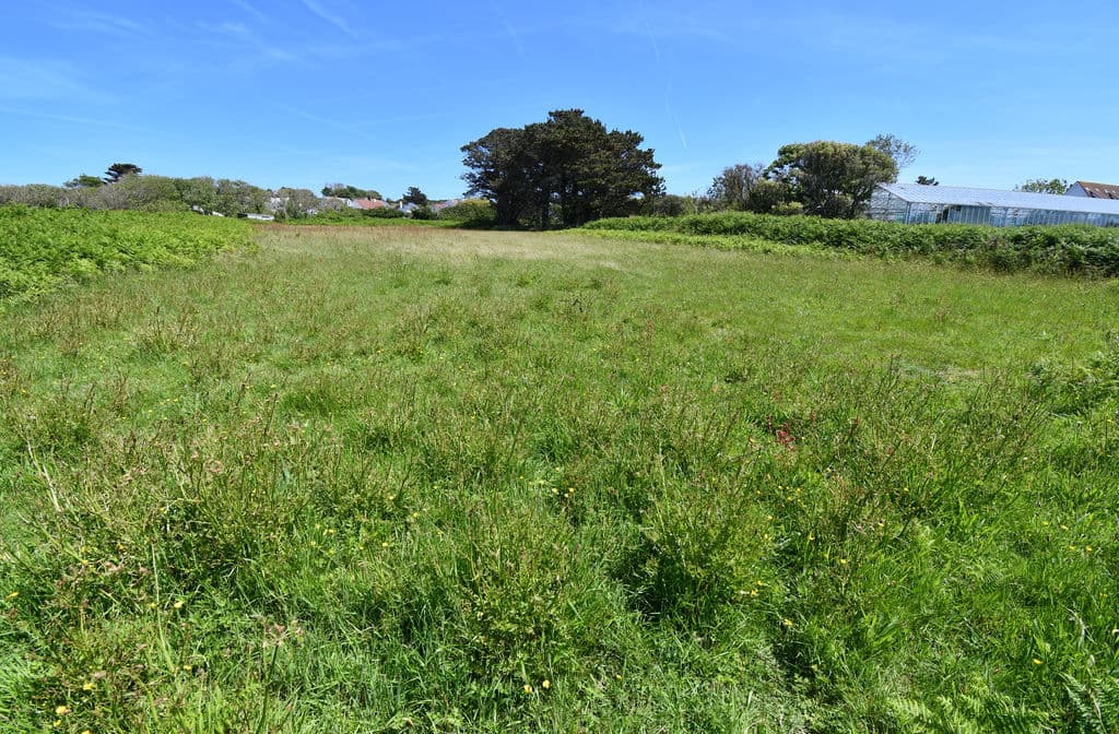 2x Agricultural Field, Route Des Adams, St Peter