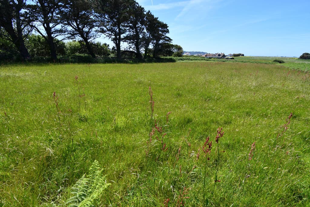 2x Agricultural Field, Route Des Adams, St Peter