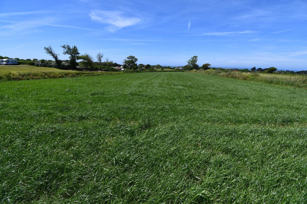 Bunker & Agricultural Field, , St Saviour
