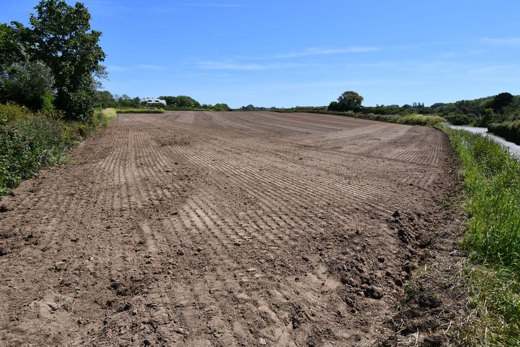 Agricultural Field, La Longue Ree, St Saviour