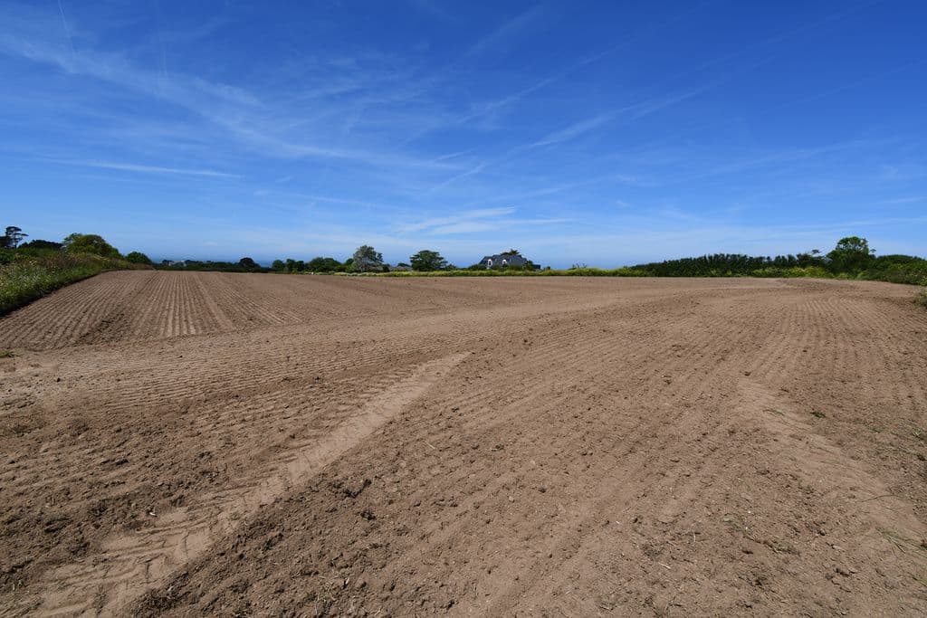 Agricultural Field, La Longue Ree, St Saviour