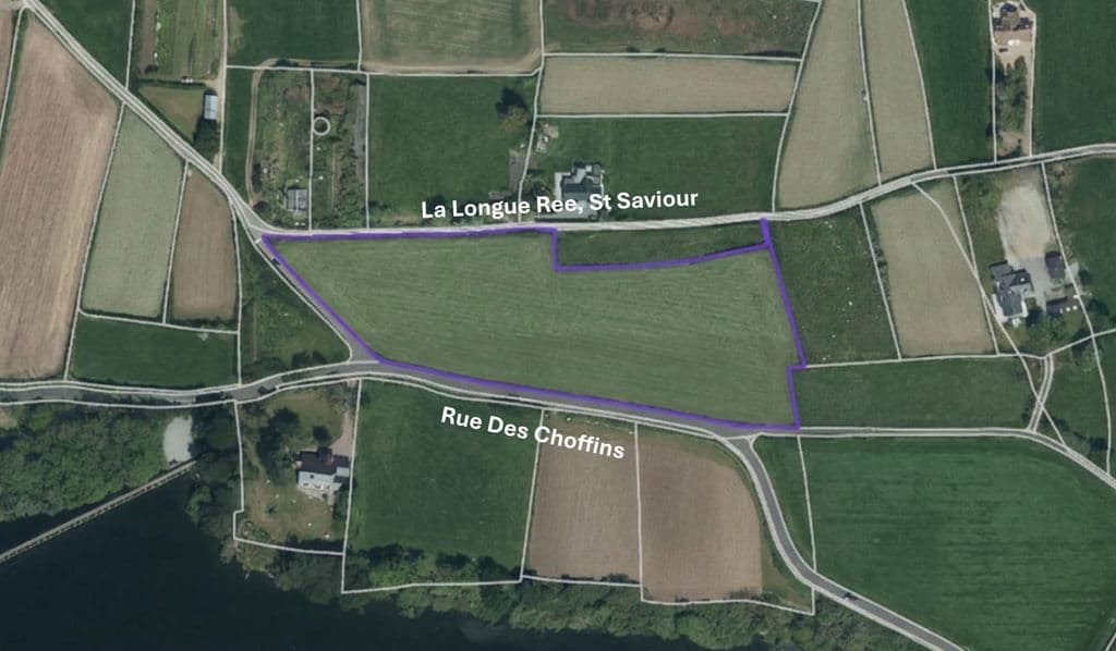 Agricultural Field, La Longue Ree, St Saviour