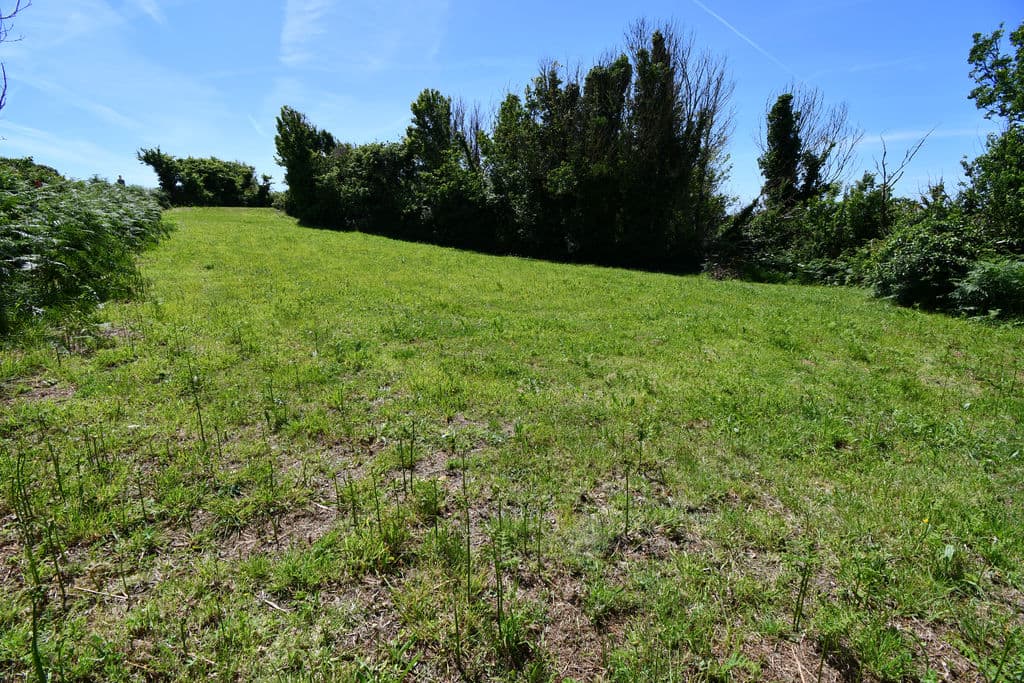 6 x Agricultural Fields, St Peter
