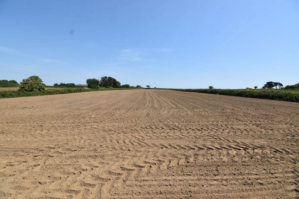 Agricultural Field, La Haye, Castel