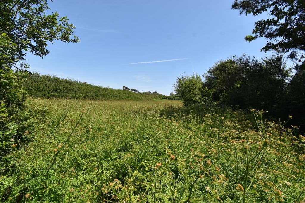Agricultural Field, Rue Rocheuse, St Peter