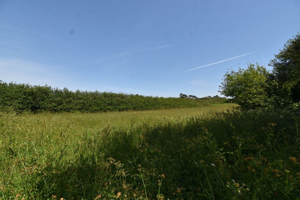 Agricultural Field, Rue Rocheuse, St Peter