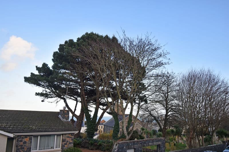 Flat 5, Ringwood, St John's Road, St Peter Port