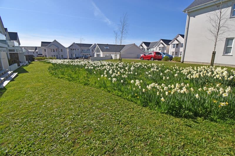 Communal Gardens